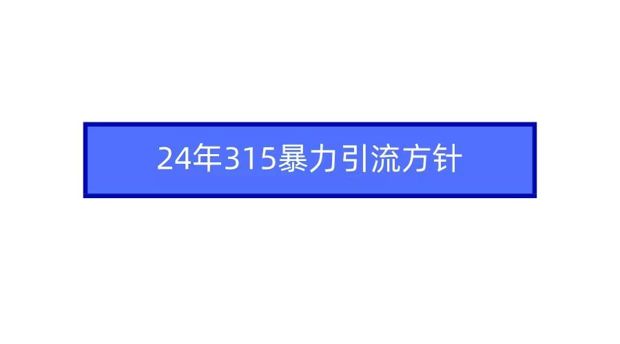 2024年315暴力引流方针-时创创业网