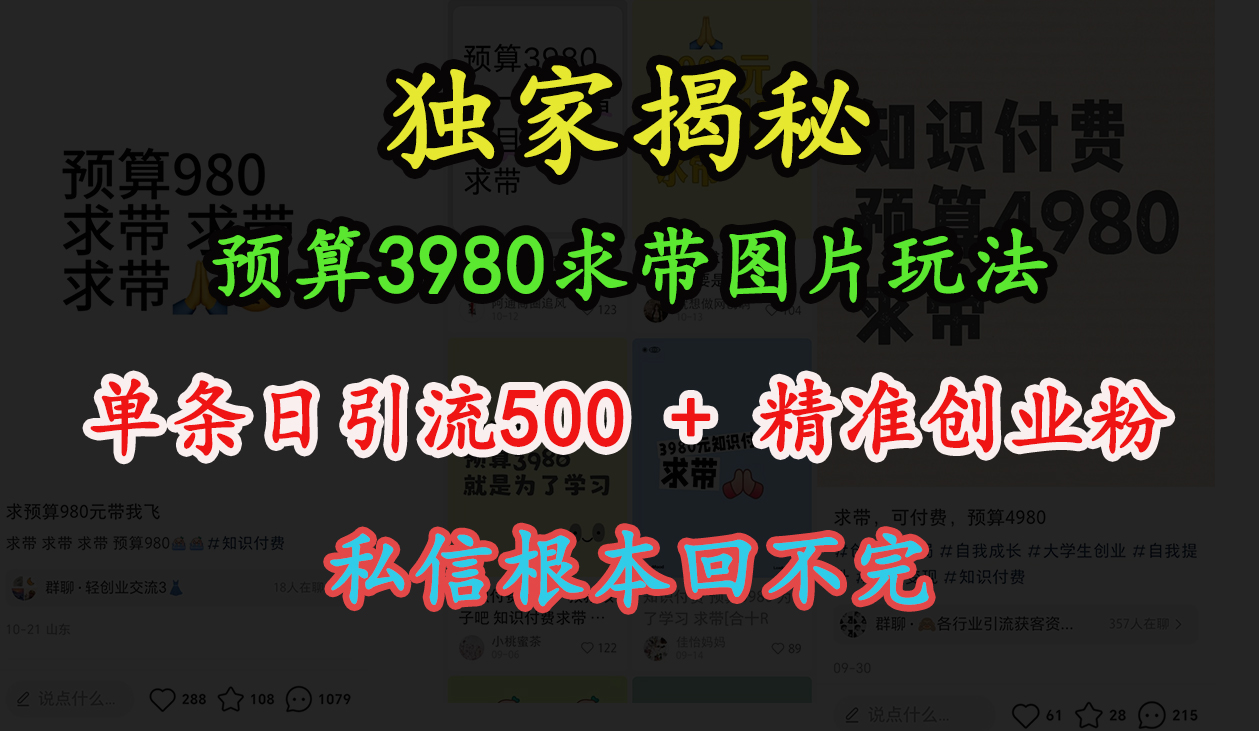 “小红书”预算3980求带 图片玩法，单条日引流500+精准创业粉，私信根本回不完-时创创业网