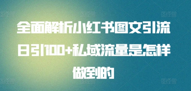 全面解析小红书图文引流日引100私域流量是怎样做到的-时创创业网