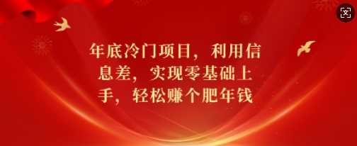 年底冷门项目，利用信息差，实现零基础上手，轻松赚个肥年钱【揭秘】-时创创业网