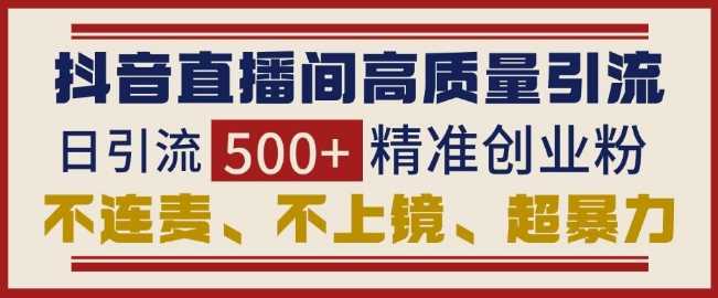 抖音直播间引流创业粉，无需连麦、不用上镜、超暴力，日引流500+高质量精准创业粉-时创创业网