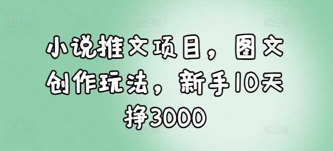 小说推文项目，图文创作玩法，新手10天挣3000-时创创业网