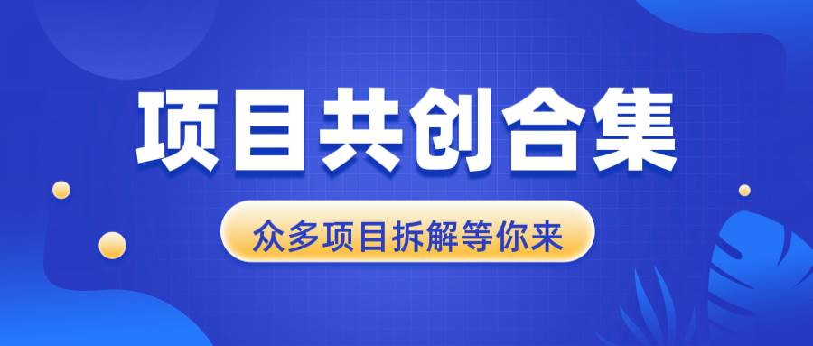 （13778期）项目共创合集，从0-1全过程拆解，让你迅速找到适合自已的项目-时创创业网