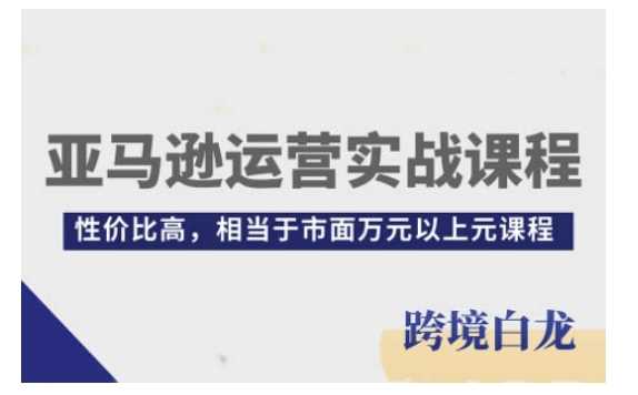 亚马逊运营实战课程，亚马逊从入门到精通，性价比高，相当于市面万元以上元课程-时创创业网