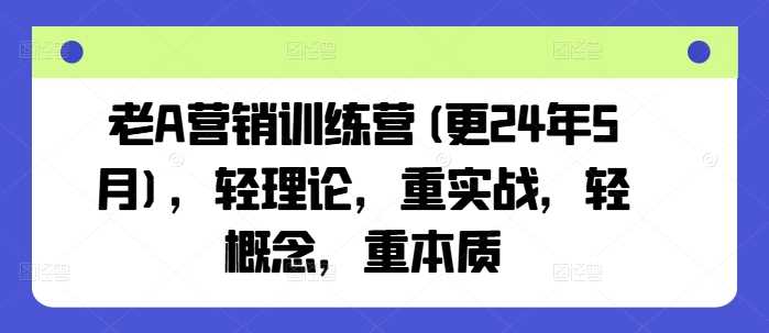 老A营销训练营(更24年12月)，轻理论，重实战，轻概念，重本质-时创创业网