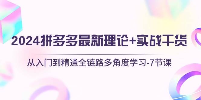 2024拼多多 最新理论+实战干货，从入门到精通全链路多角度学习-7节课-时创创业网