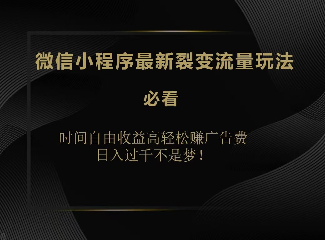 微信小程序最新裂变流量玩法，时间自由收益高轻松赚广告费，日入200-500+-时创创业网