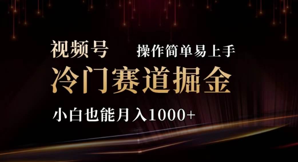 2024视频号冷门赛道掘金，操作简单轻松上手，小白也能月入1000+-时创创业网