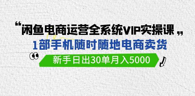 闲鱼电商运营全系统VIP实战课，1部手机随时随地卖货，新手日出30单月入5000-时创创业网