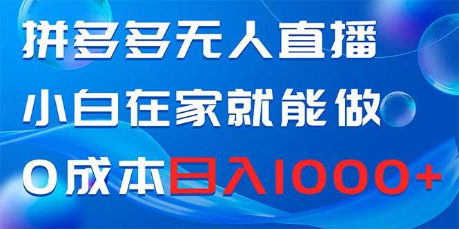 拼多多无人直播，小白在家就能做，0成本日入1000+-时创创业网