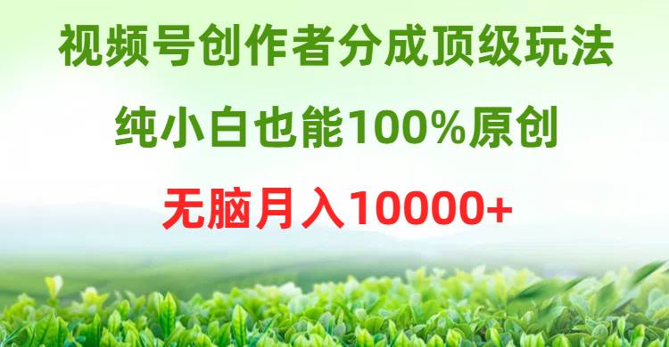 视频号创作者分成顶级玩法，纯小白也能100%原创，无脑月入10000+-时创创业网